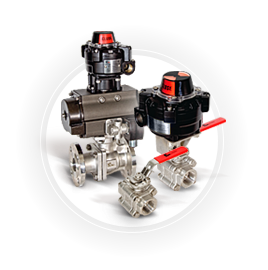 FPS Valves Series B&W