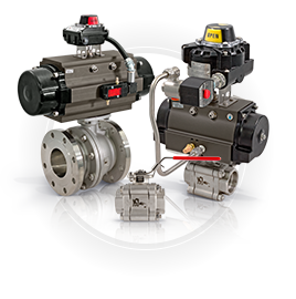 FPS 9650 Valves