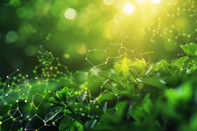 Leaves sunlight and geometric shapes arranged in a lattice