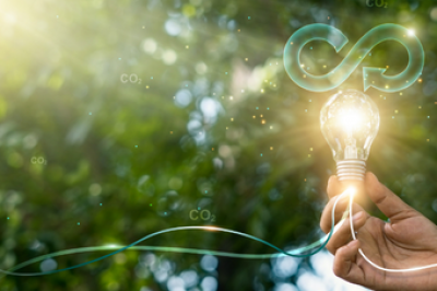 hand holding a lightbulb emitting sparkling light against a background of trees