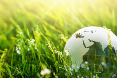Glass globe in grass and flowers
