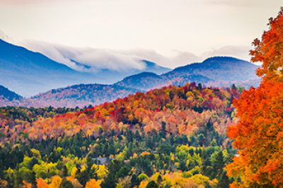 Mist over mountains and trees during the fall season
