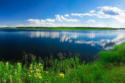 Still lake surrounded by grasses and plants under a bright sky and clouds